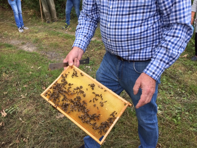 Imker Geisthövel mit seinen Bienen
